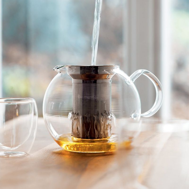 Bodum 1807-16 Assam Tea Press with Stainless Steel Filter, 0.5L Clear