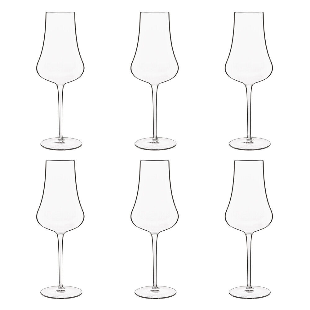 Luigi Bormioli Tentazioni Prosecco Tester Glasses 6 Pack 420ml