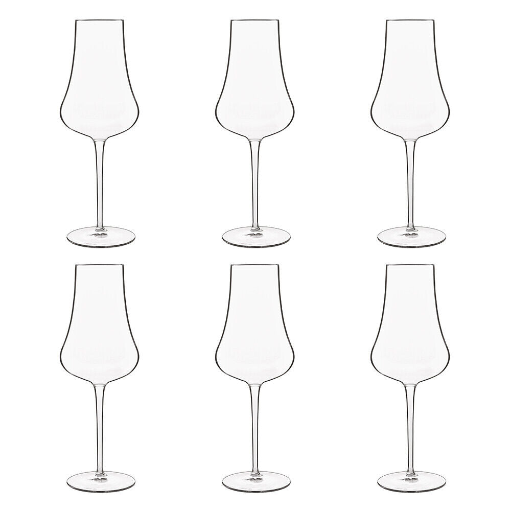 Luigi Bormioli Tentazioni Prosecco Tester Glasses  6 Pack 420ml