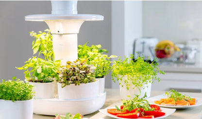 Urbipod Indoor Smart Garden Self Watering - Urbotanica