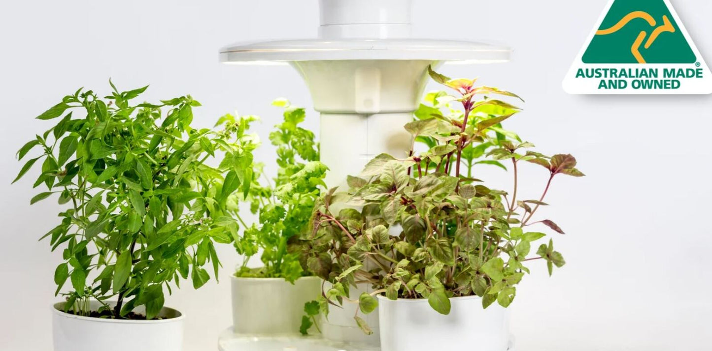 Urbipod Indoor Smart Garden Self Watering - Urbotanica