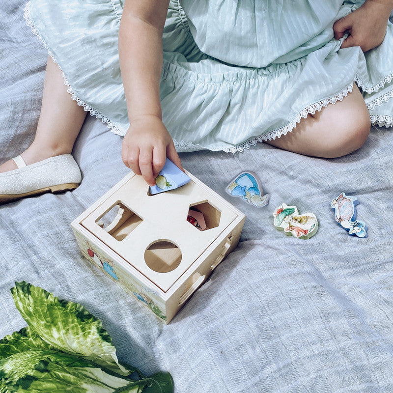 Beatrix Potter Peter Rabbit Wooden Shape Sorter - Multi