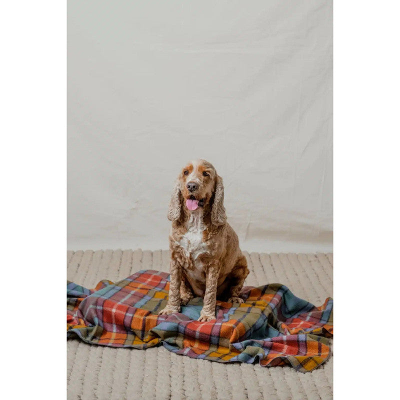 The Grampians Goods Co Pet Blanket - Autumn