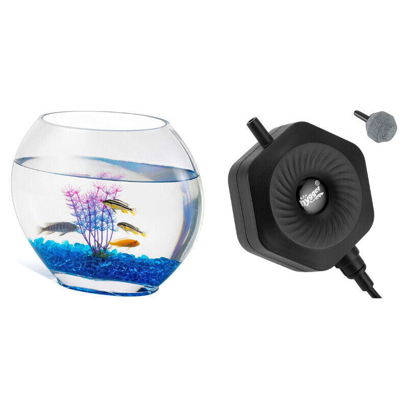 Hygger Mini Glass Oblate Fish Bowl and Hexagon Mini Air Pump - KBHG97175-Black/C