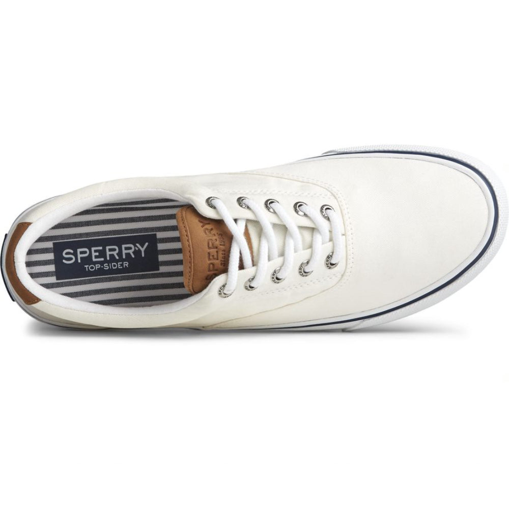 Sperry Men's Striper II CVO SW Sneaker - White -Canvas Cotton - Size 11