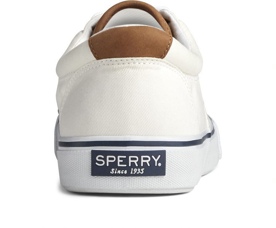 Sperry Men's Striper II CVO SW Sneaker - White -Canvas Cotton - Size 10