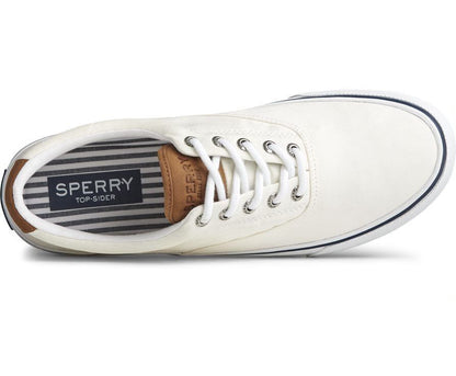 Sperry Men's Striper II CVO SW Sneaker - White -Canvas Cotton - Size 12